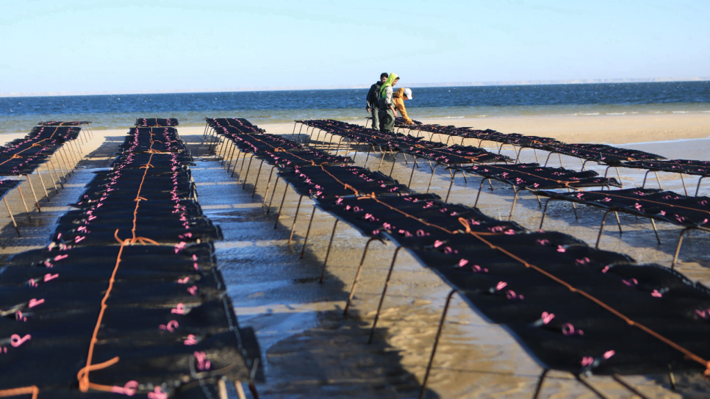 dd12531f-4cb1-4707-a572-38976febccdf-1024x575